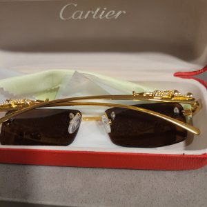 Cartier Sleek Look